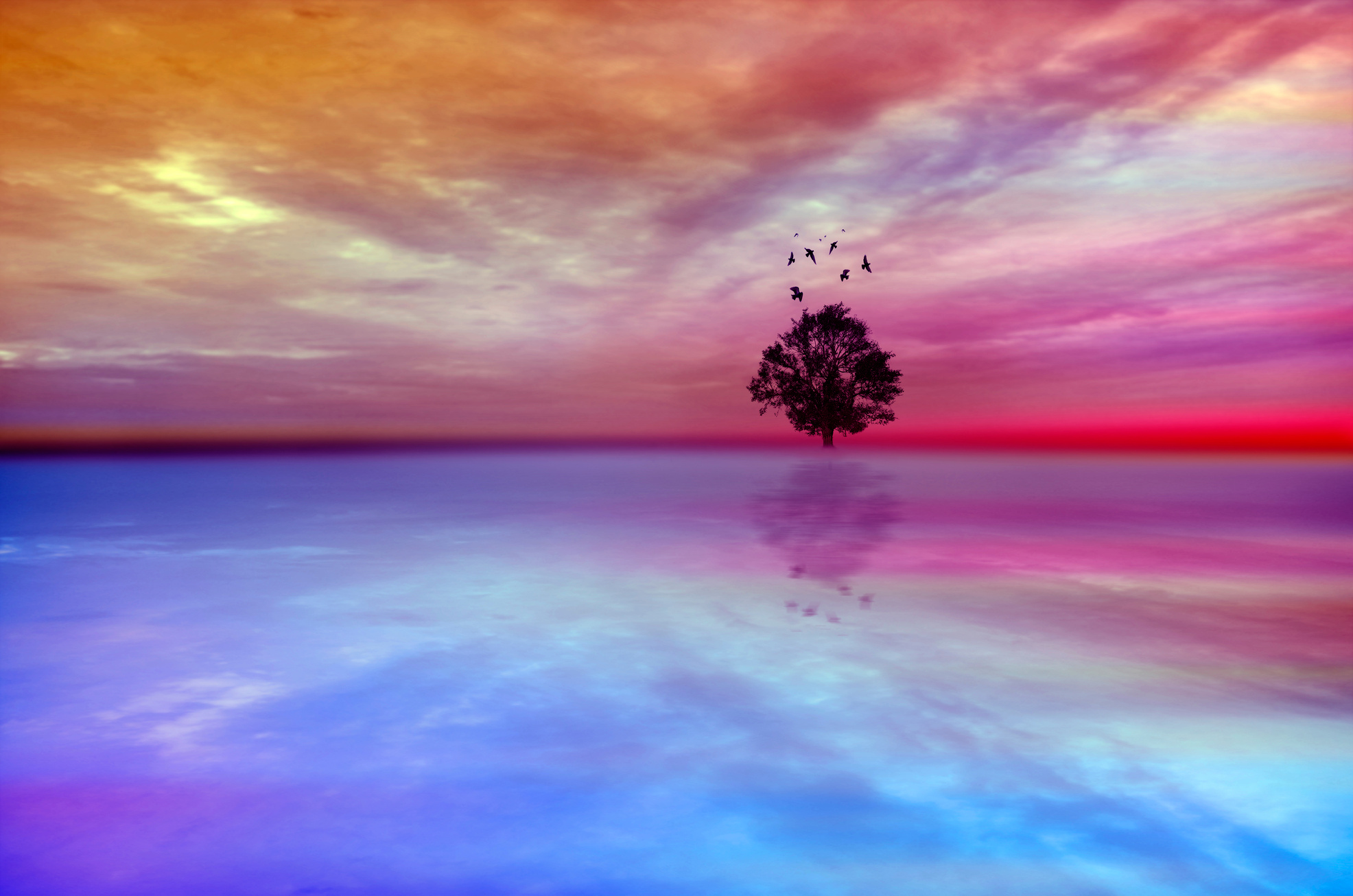 Magical Tree in Dreams